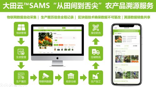 大田智慧農業投資1.28億元數字化服務，構筑農產品安全生產新生態